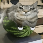 mid things