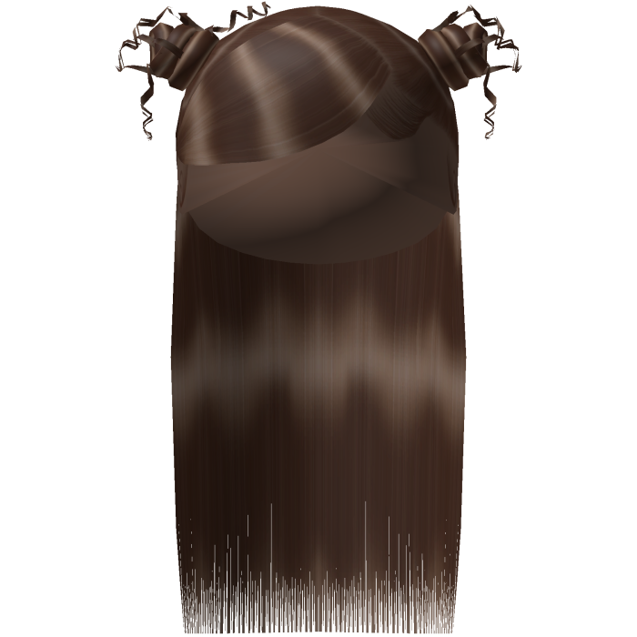 Swoop with buns half down hair - Brown