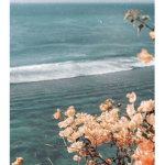 ~Riptides~
