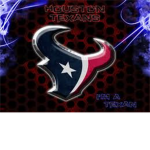 Houston Texans Of Robloxia!
