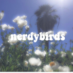 nerdybirds