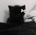 (Jack)