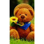 Teddy's squad for everyone!!