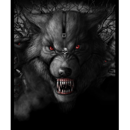 Wolf pack  |  meeting center
