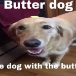 Butterdawgg