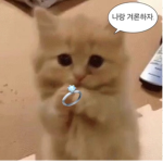 ㄴ r의 그룹