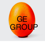 The real egg Egg