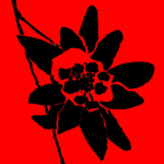 edelweiss elysium