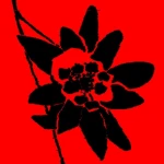 edelweiss elysium Group Thumbnail