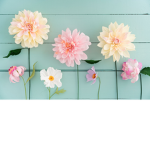 Flower~Squad