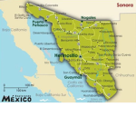 Sonora