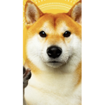 I do giveaways and join if u like doge