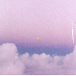 Aesthetic soft group