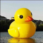 Duckiebros