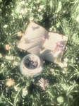 moshi-melodys-