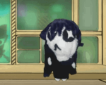 Qliphoth Dev Team