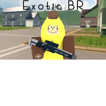 Exotic BR [FIRST UPDATE] Added Healing Potion
