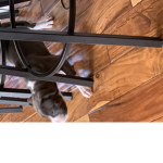 Coca and bola