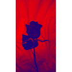 HeartXBrokenXAesthetics