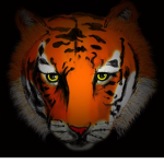 EpicTigerFanClub!