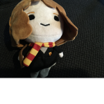 Harry Potter really big fan group