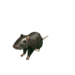 Met Giant Rat icon