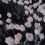 “fwiends and flowers”