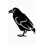 Raven incorporation