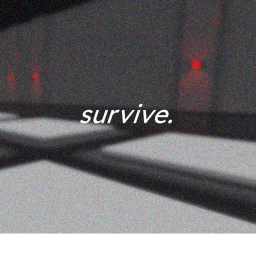 something 1