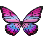 💗Mega Sugar-Blossom Butterfly Wings🦋