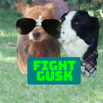 helpgusk