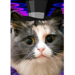 CrazyCat Creations