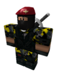 The Stealth Assult Recon