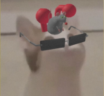FishThatFlops commutity
