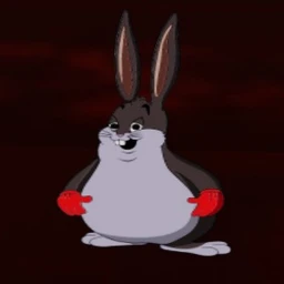 BIG CHUNGUS.MEME chaos and madness icon