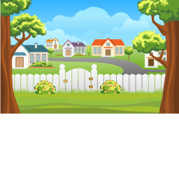 Amazing Neighborhood