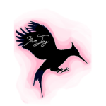 BlueJay’s Clothing