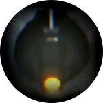 Mothership Astro Bathroom