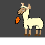 The Llama Clothing Group
