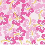 ~ zozos closet ~