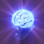 Mindful Meditation Group