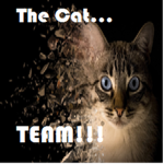 The Cat Team!