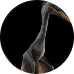 Quetzalcoatlus