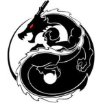 The dark ninjas of roblox Group Thumbnail
