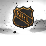 Pro Hockey Player