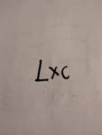 L x coffical basketball stars group
