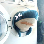 ʚsussy sharks!!ɞ