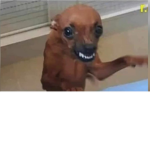 E l per rito fa ch er o