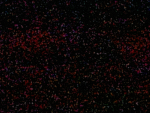 what is this group I made