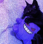 Love kitty ########